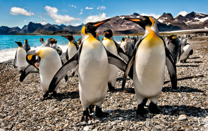 Mostra Fotografica: “ANTARCTICA” di Paolo Beltrame