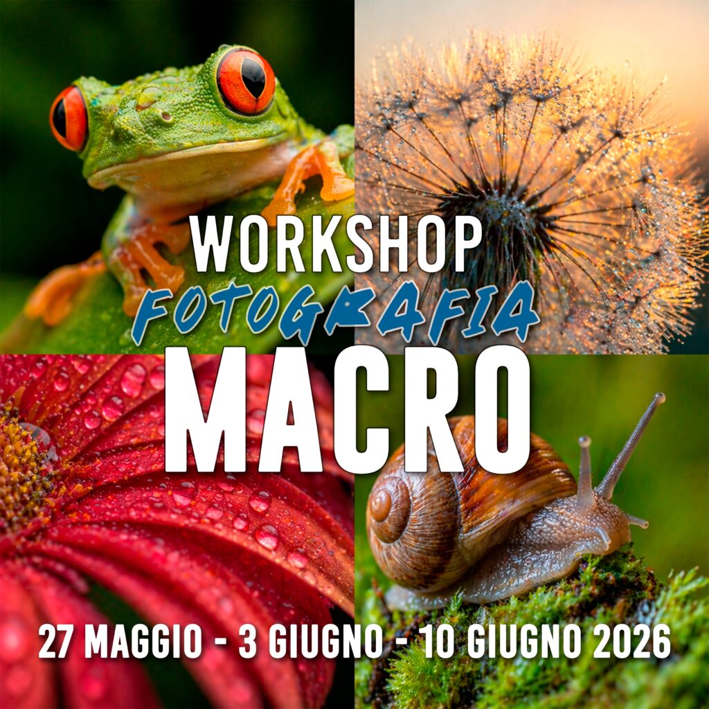 WORKSHOP PER TUTTI DI 